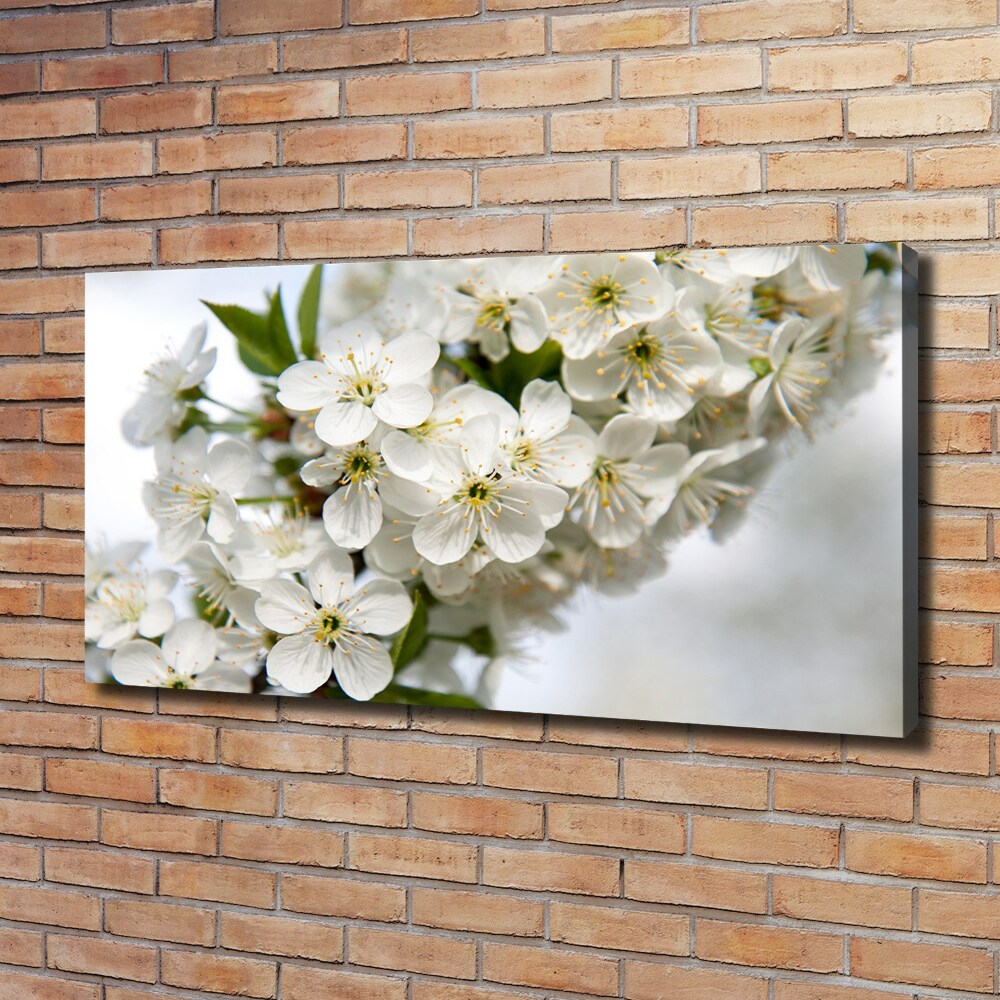 Tableau photo sur toile Fleurs de cerisier