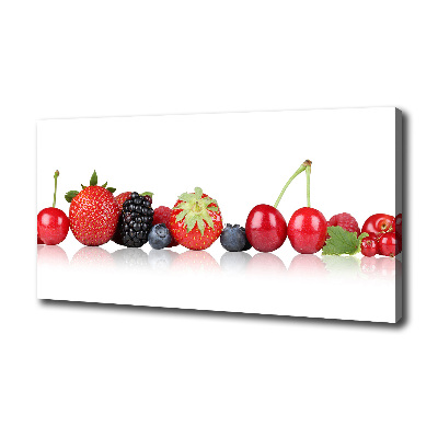 Tableau toile imprimée Fruits en rangée