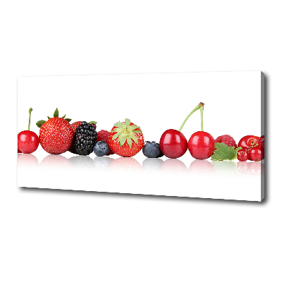 Tableau toile imprimée Fruits en rangée