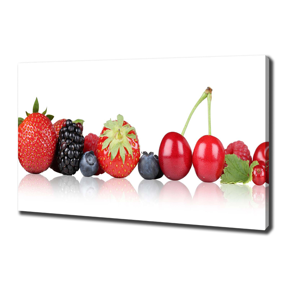 Tableau toile imprimée Fruits en rangée