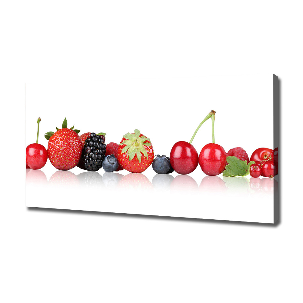 Tableau toile imprimée Fruits en rangée