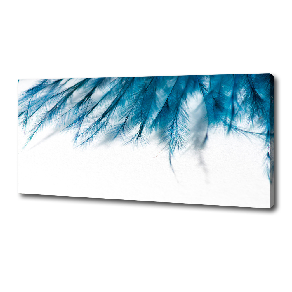 Tableau toile imprimée Plumes bleues