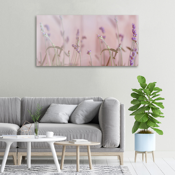 Tableau imprimé sur toile Lavande