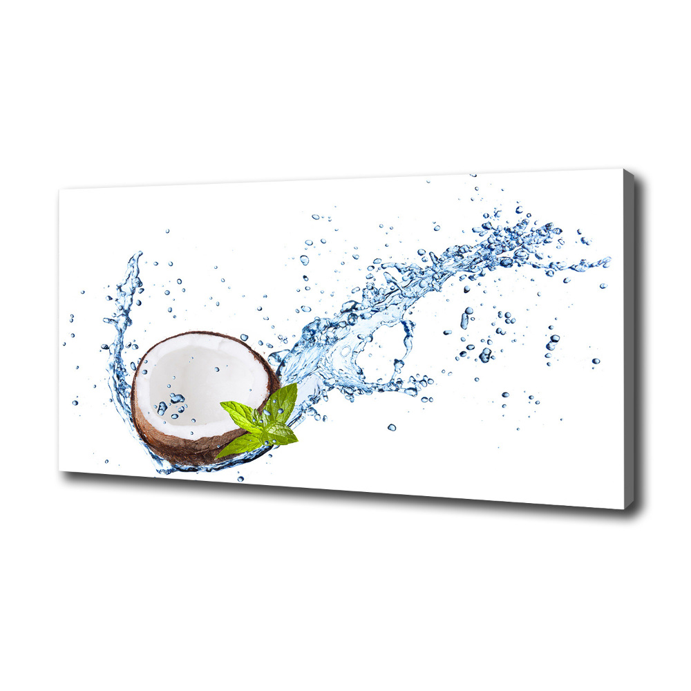 Tableau mural sur toile Noix de coco et eau