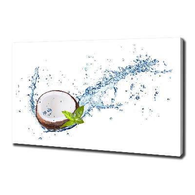 Tableau mural sur toile Noix de coco et eau