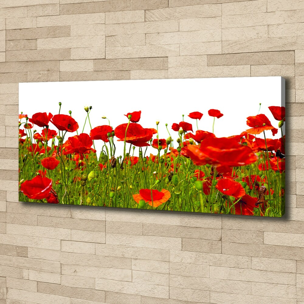 Tableau sur toile Coquelicots des champs