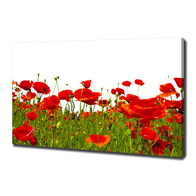 Tableau sur toile Coquelicots des champs