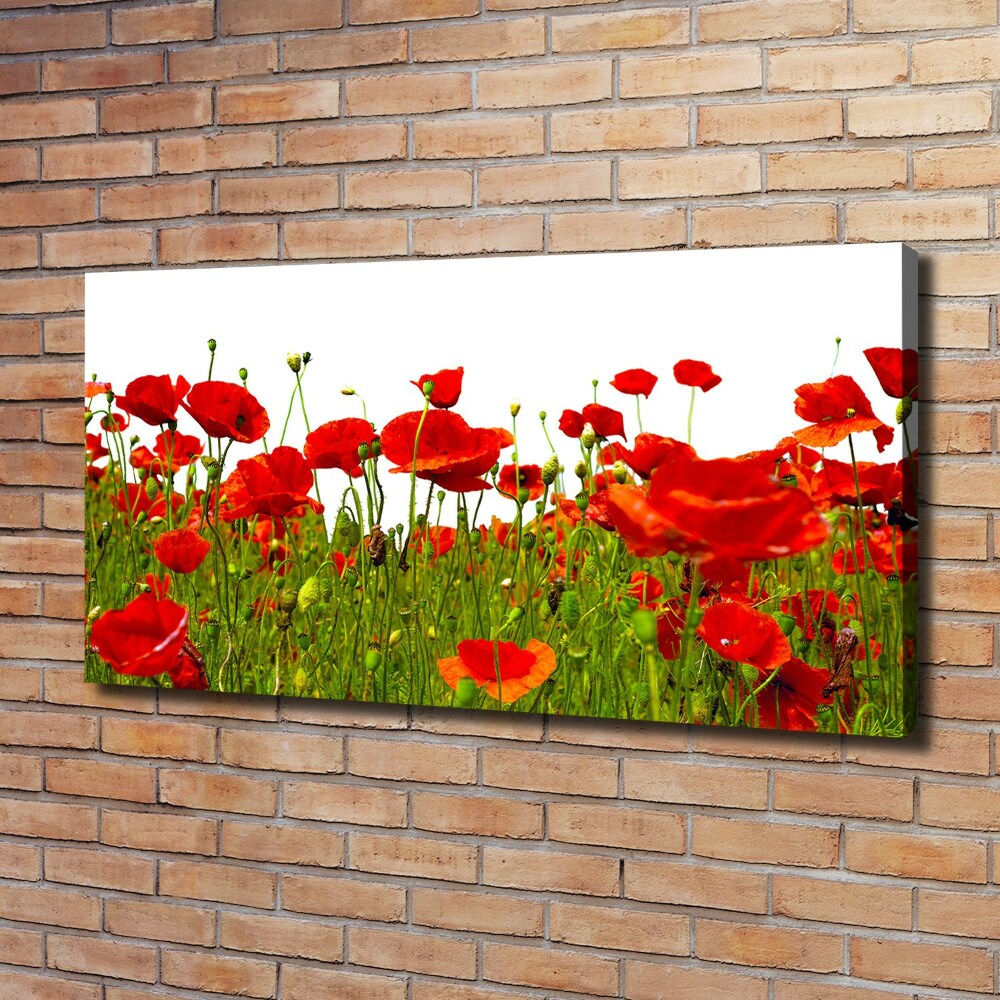 Tableau sur toile Coquelicots des champs