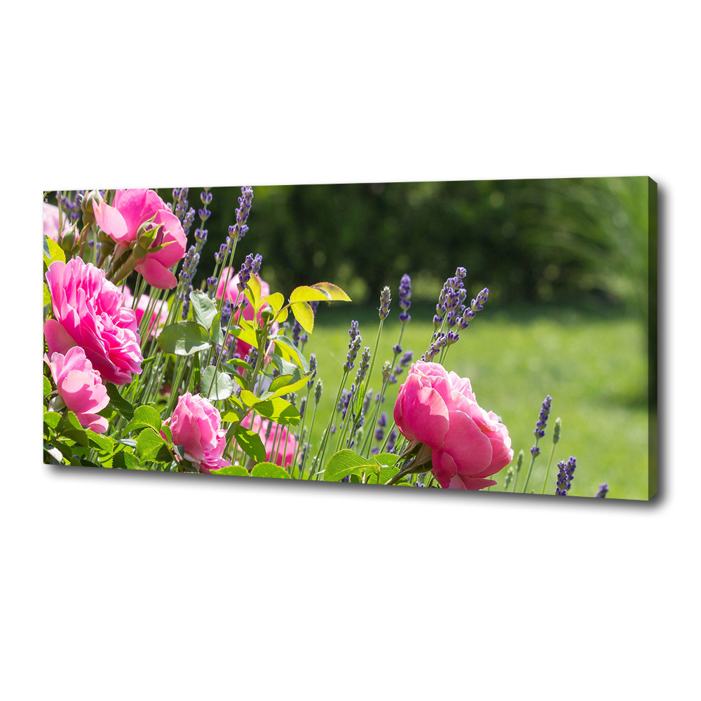 Tableau sur toile Rose sauvage