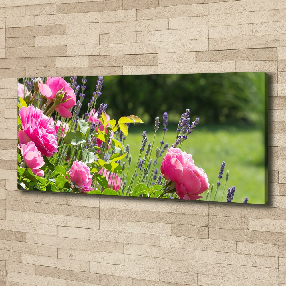 Tableau sur toile Rose sauvage