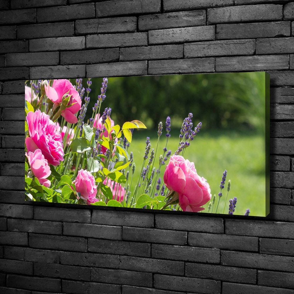 Tableau sur toile Rose sauvage