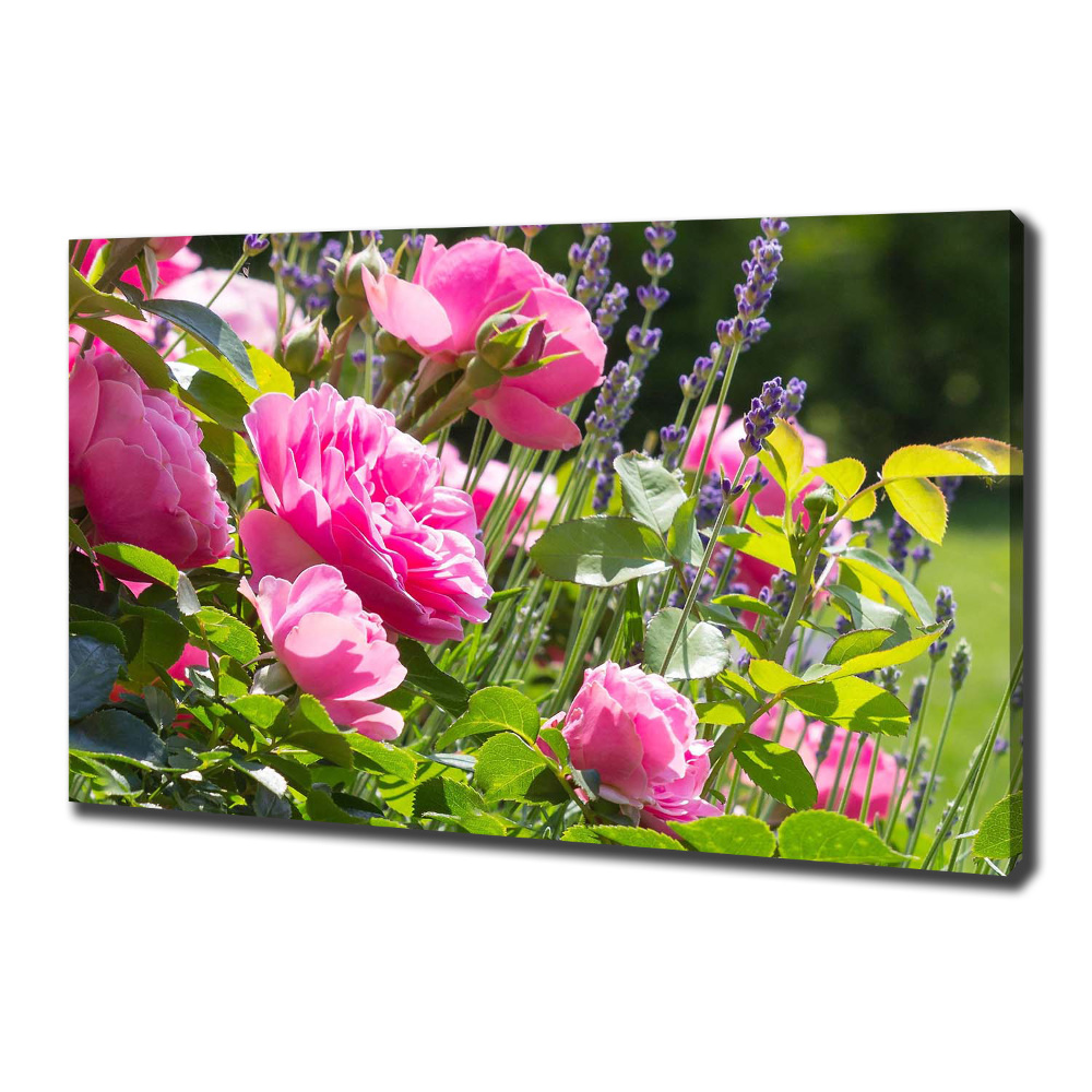 Tableau sur toile Rose sauvage