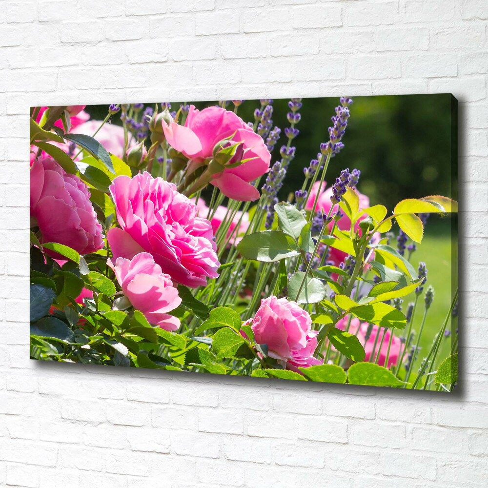 Tableau sur toile Rose sauvage