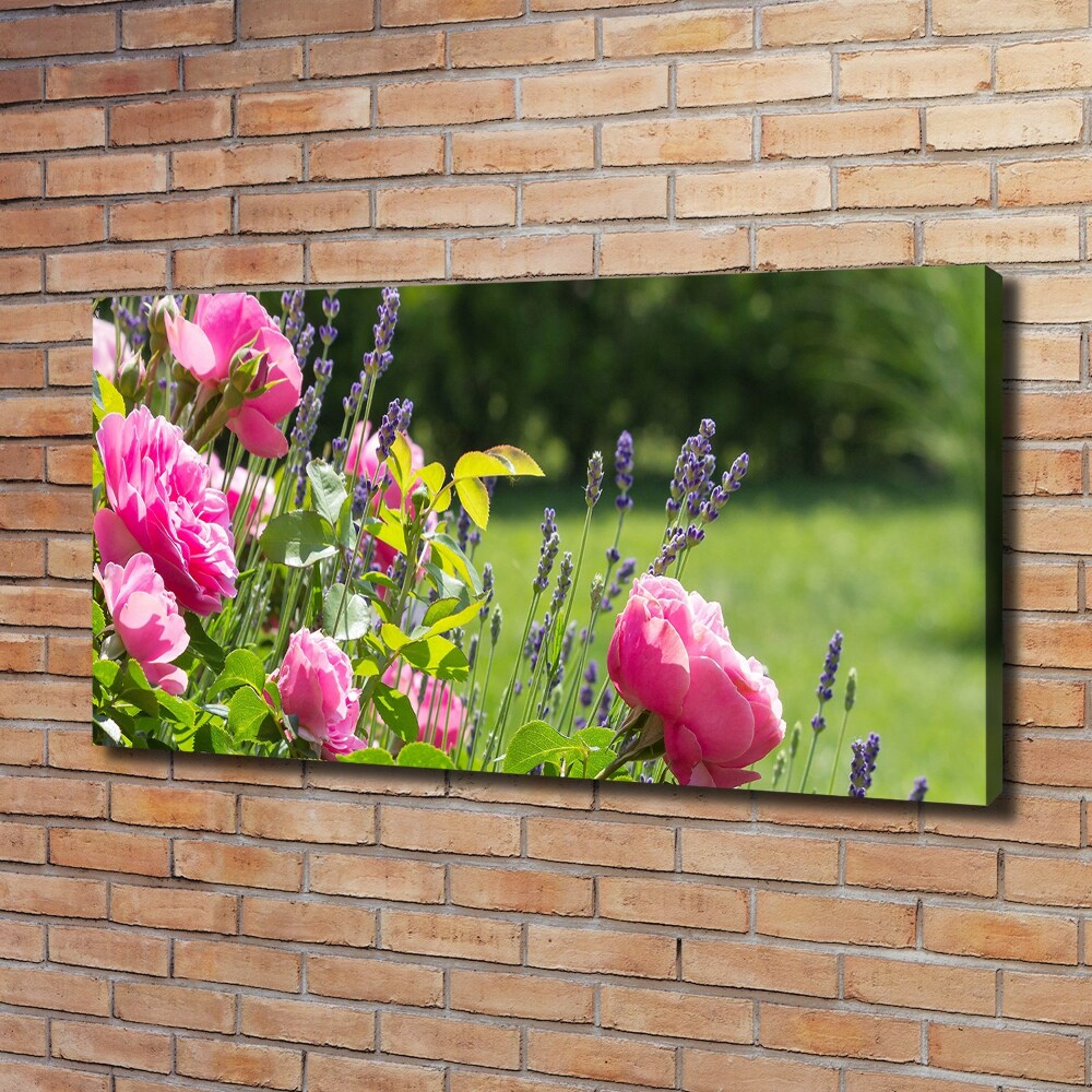 Tableau sur toile Rose sauvage