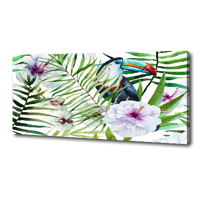 Tableau photo sur toile Toucan des tropiques