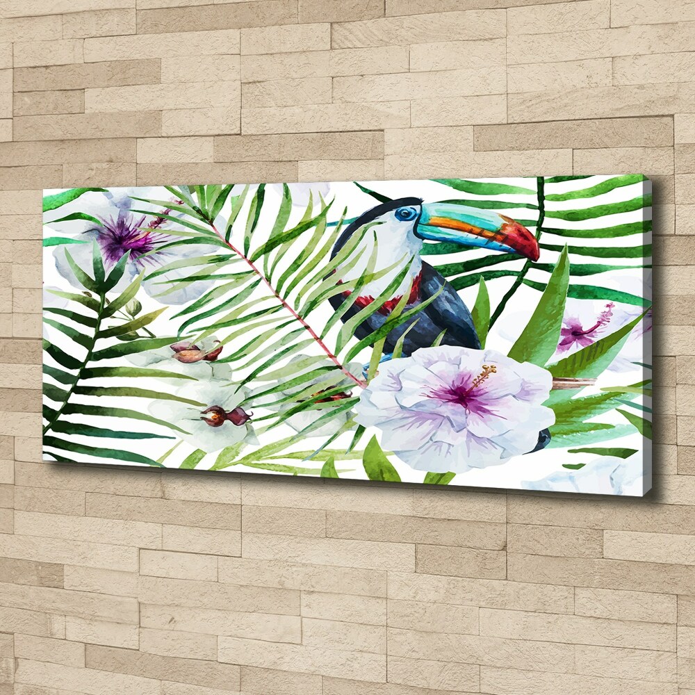 Tableau photo sur toile Toucan des tropiques