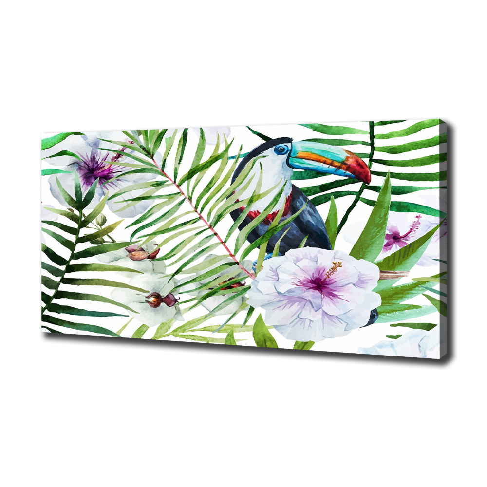 Tableau photo sur toile Toucan des tropiques