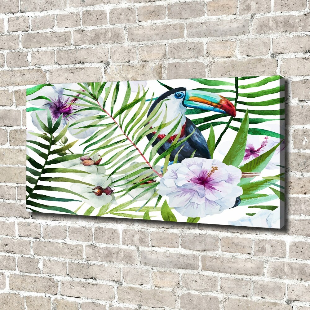 Tableau photo sur toile Toucan des tropiques