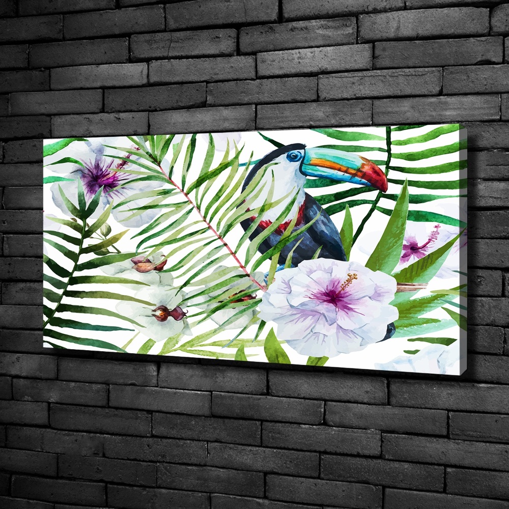 Tableau photo sur toile Toucan des tropiques