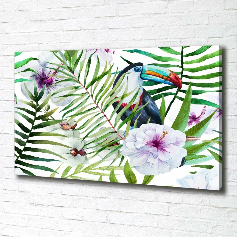 Tableau photo sur toile Toucan des tropiques