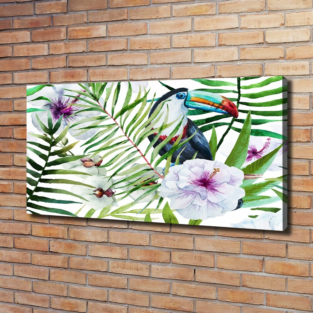 Tableau photo sur toile Toucan des tropiques