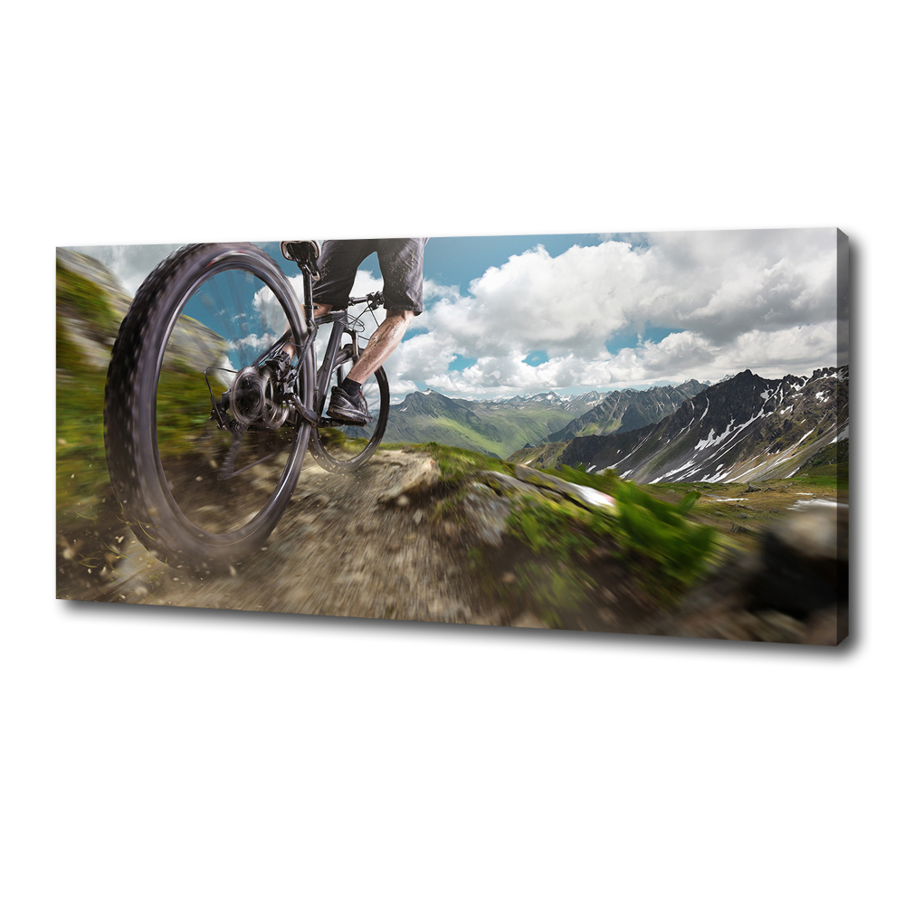 Tableau toile imprimée Vélo de montagne