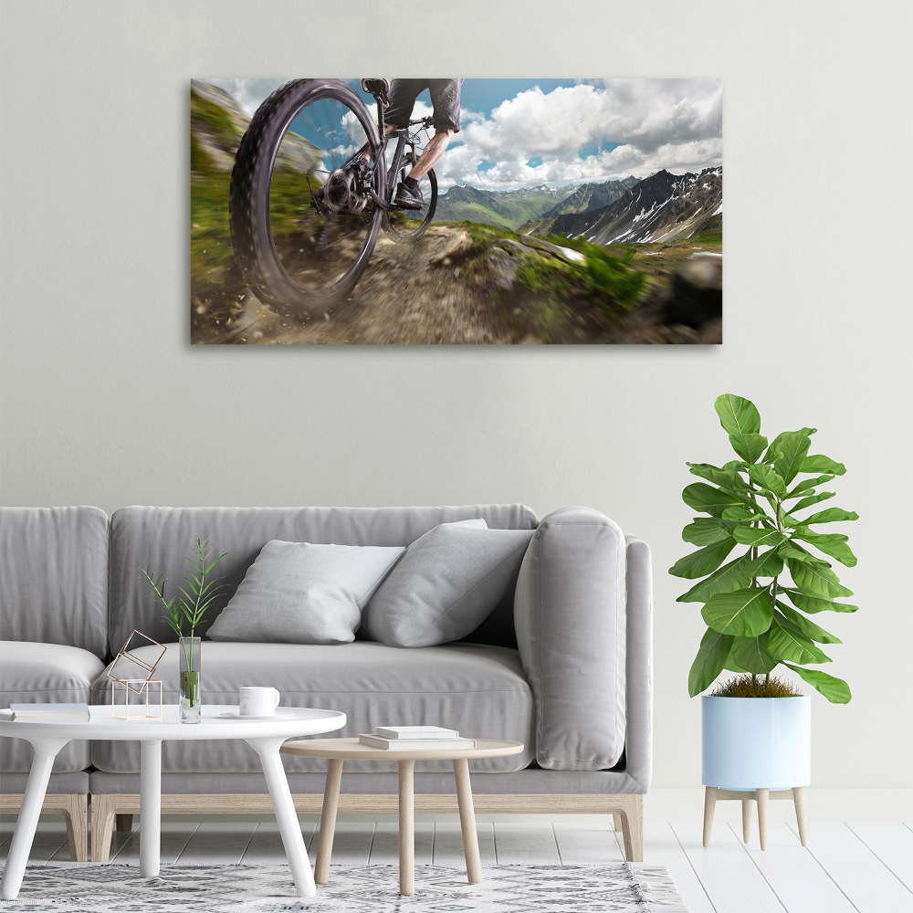 Tableau toile imprimée Vélo de montagne