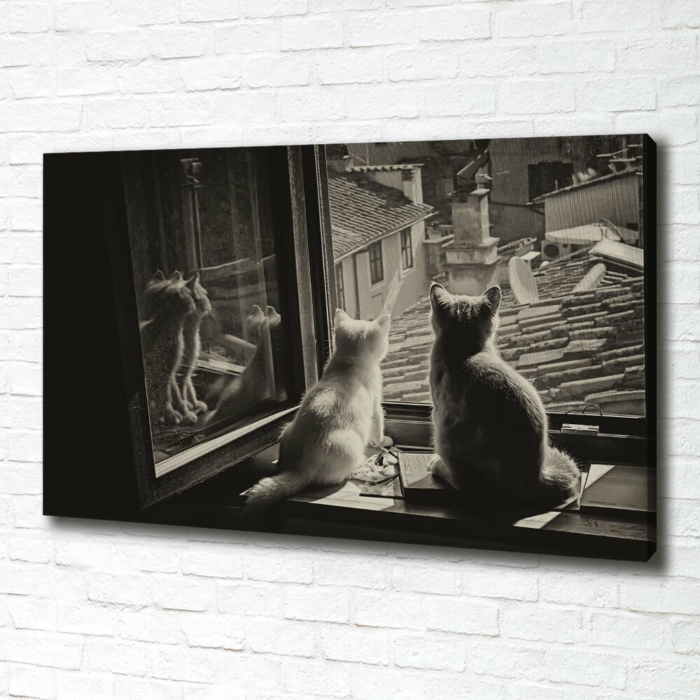 Tableau mural sur toile Chats à la fenêtre