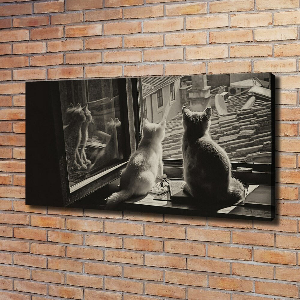 Tableau mural sur toile Chats à la fenêtre