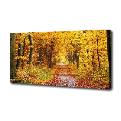 Tableau photo sur toile Forêt d'automne