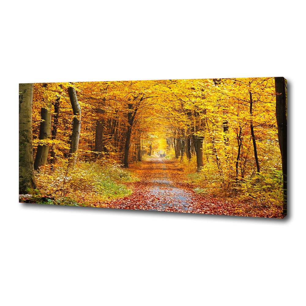 Tableau photo sur toile Forêt d'automne