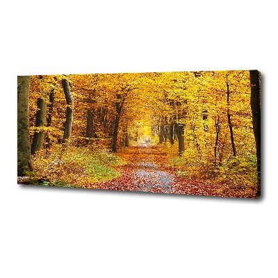 Tableau photo sur toile Forêt d'automne