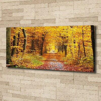 Tableau photo sur toile Forêt d'automne