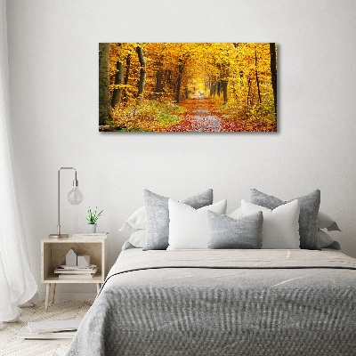 Tableau photo sur toile Forêt d'automne