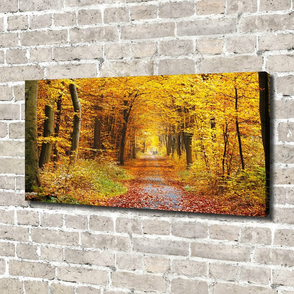 Tableau photo sur toile Forêt d'automne