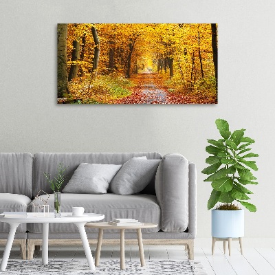 Tableau photo sur toile Forêt d'automne