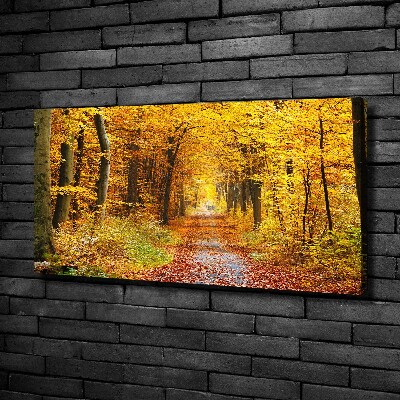 Tableau photo sur toile Forêt d'automne