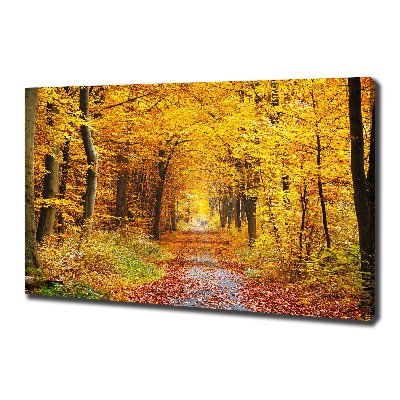 Tableau photo sur toile Forêt d'automne