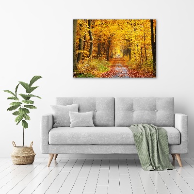 Tableau photo sur toile Forêt d'automne