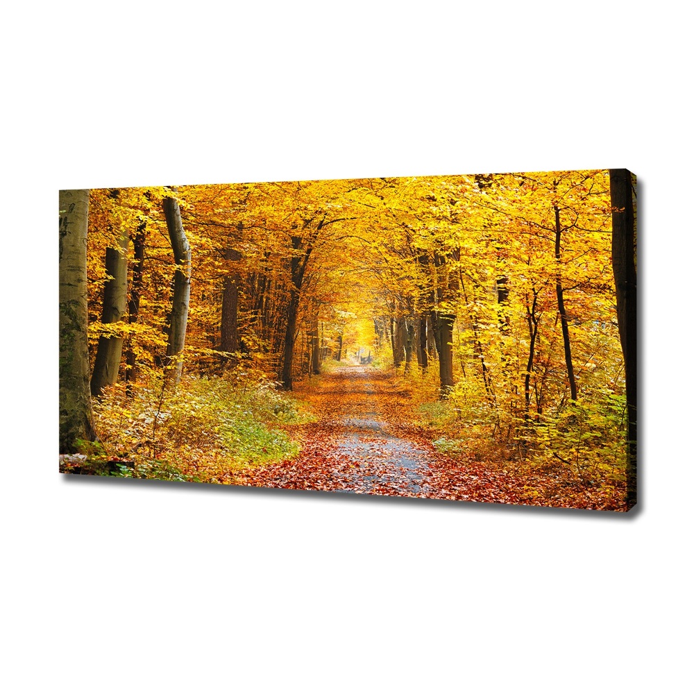 Tableau photo sur toile Forêt d'automne