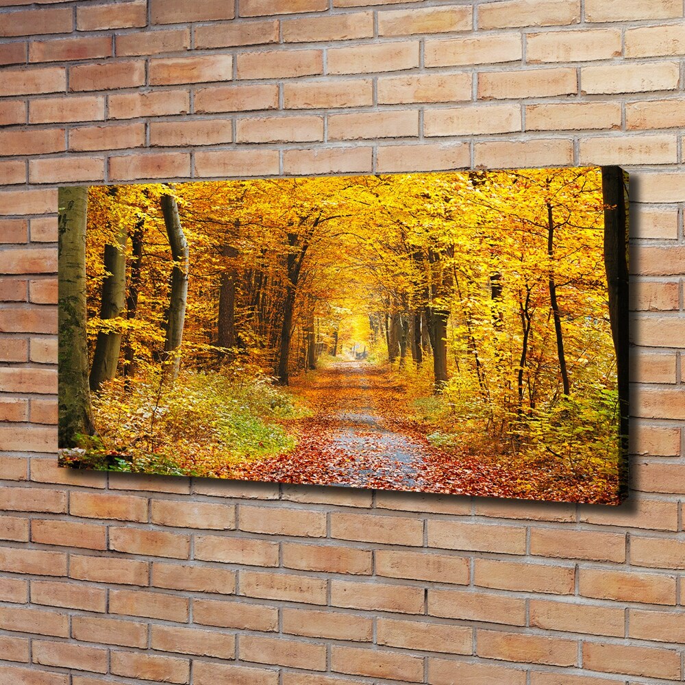 Tableau photo sur toile Forêt d'automne