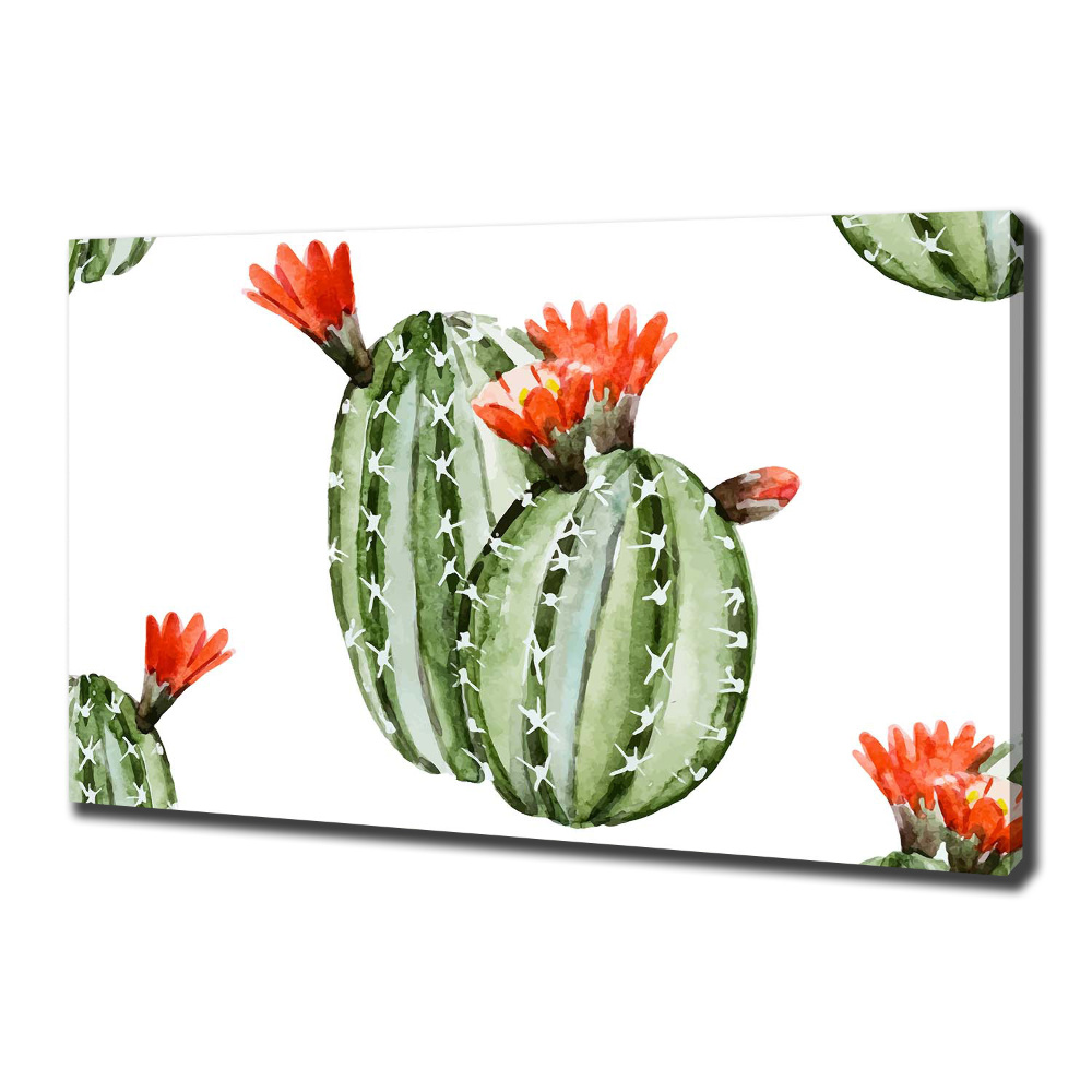 Tableau imprimé sur toile Cacti