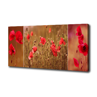 Tableau photo sur toile Triptyque Maki