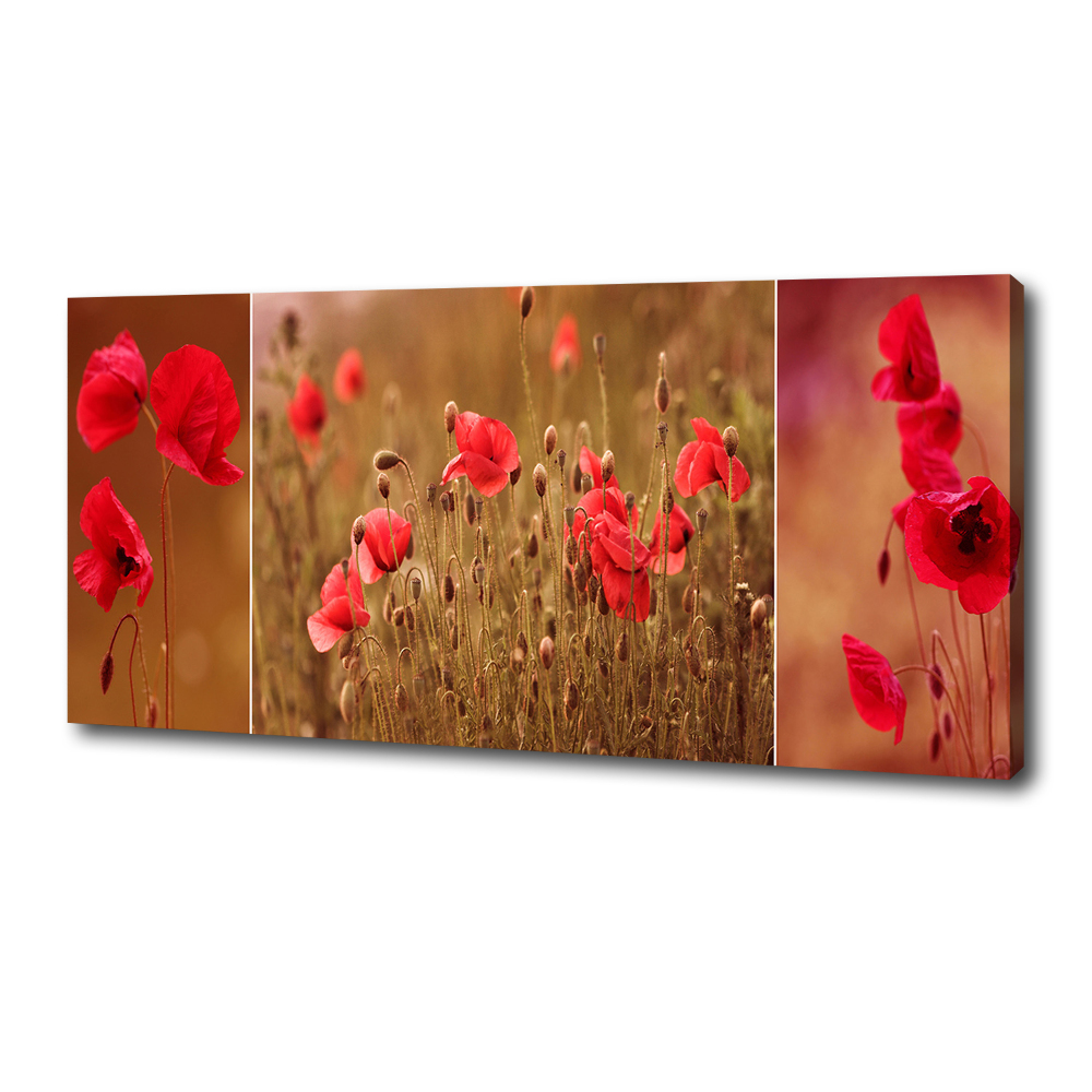 Tableau photo sur toile Triptyque Maki