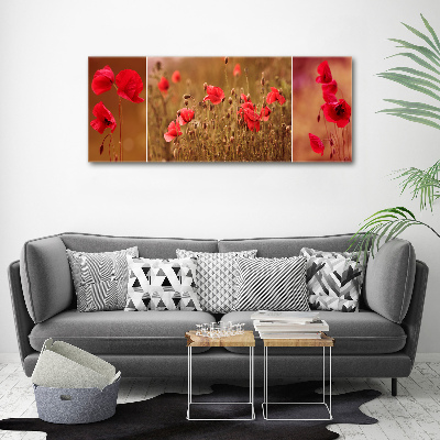 Tableau photo sur toile Triptyque Maki