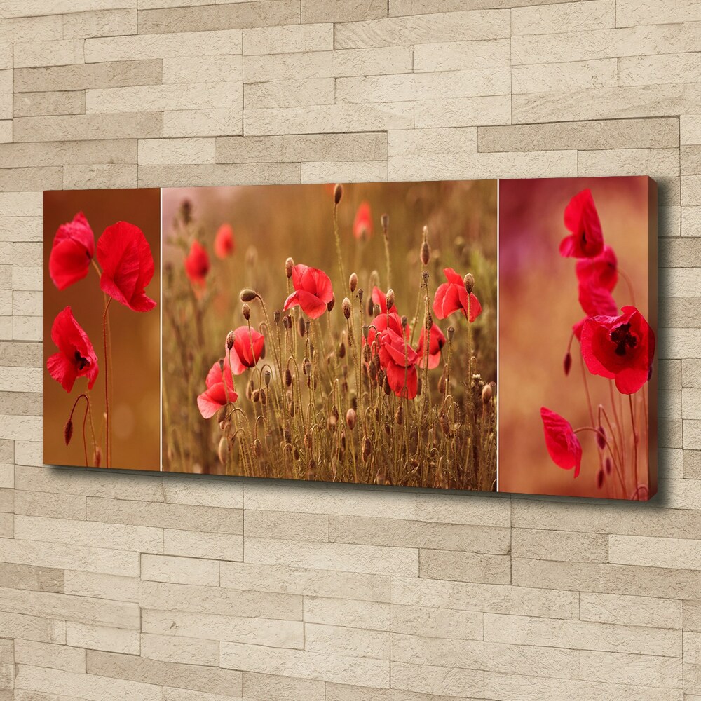 Tableau photo sur toile Triptyque Maki