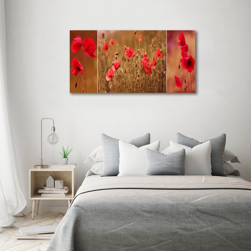 Tableau photo sur toile Triptyque Maki