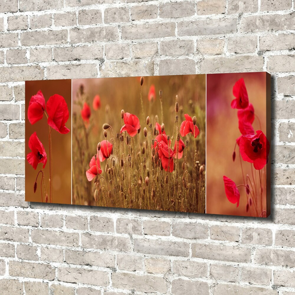 Tableau photo sur toile Triptyque Maki