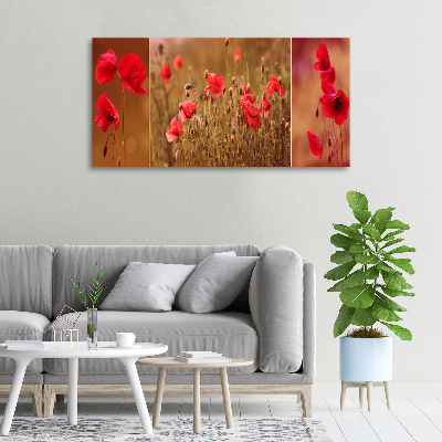 Tableau photo sur toile Triptyque Maki