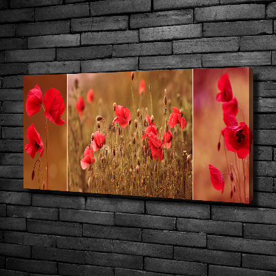 Tableau photo sur toile Triptyque Maki